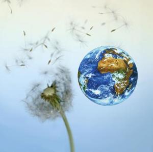 Regando la Semilla del Reino