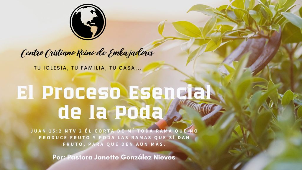 El Proceso esencial de la Poda – Juan&nbsp;15:12